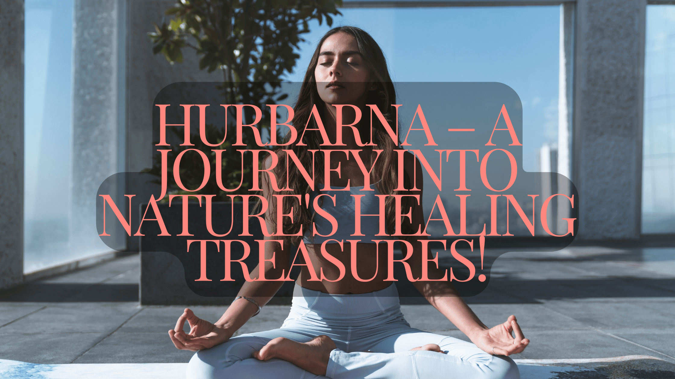 Hurbarna – A Journey Into Nature’s Healing Treasures!