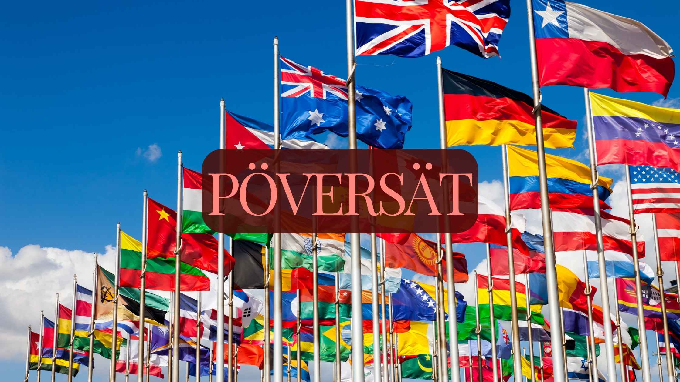 Pöversätt – Revolutionizing the Translation Industry in 2024!