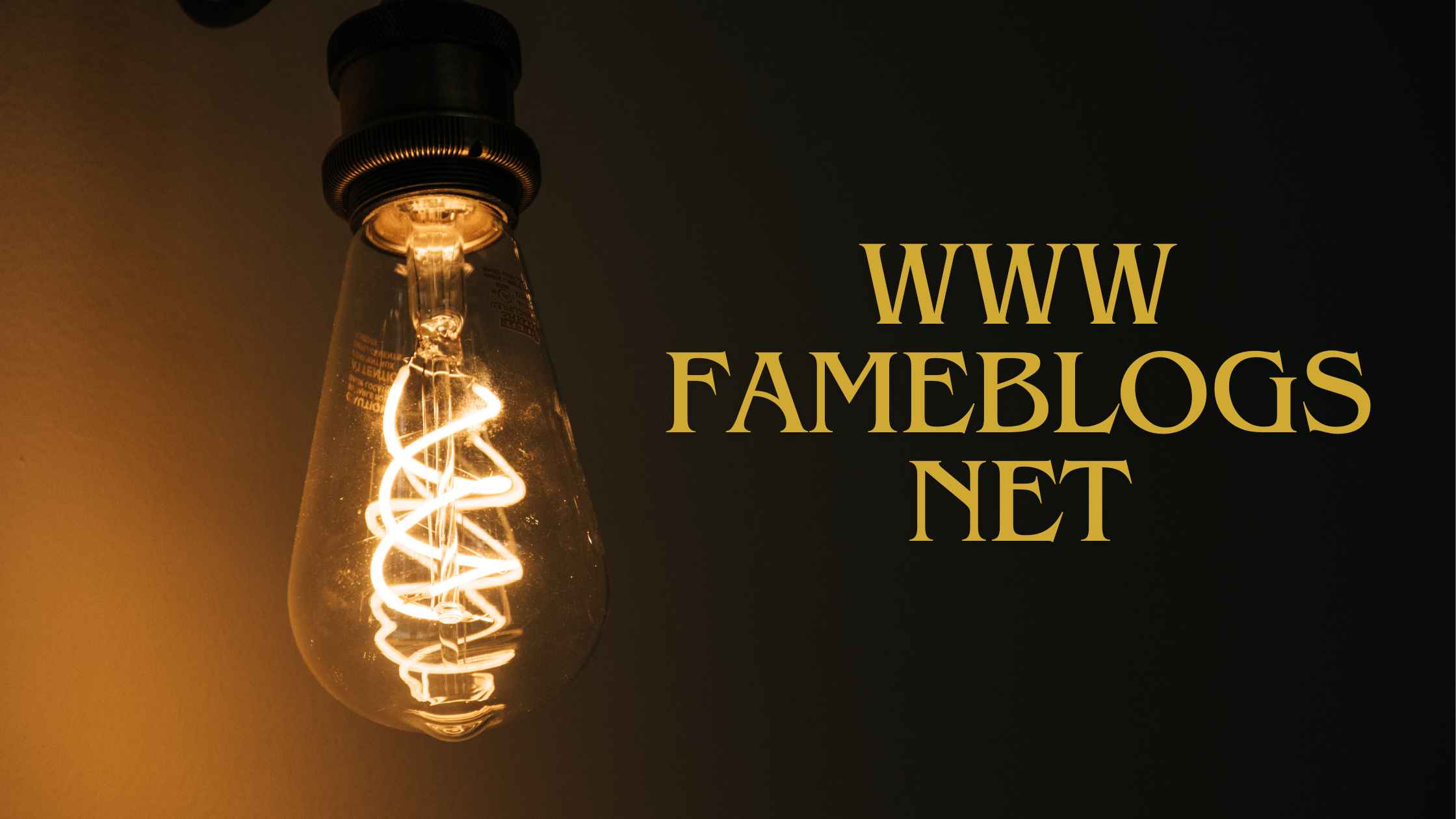 www Fameblogsnet – Revolutionizing The Blogging Landscape!