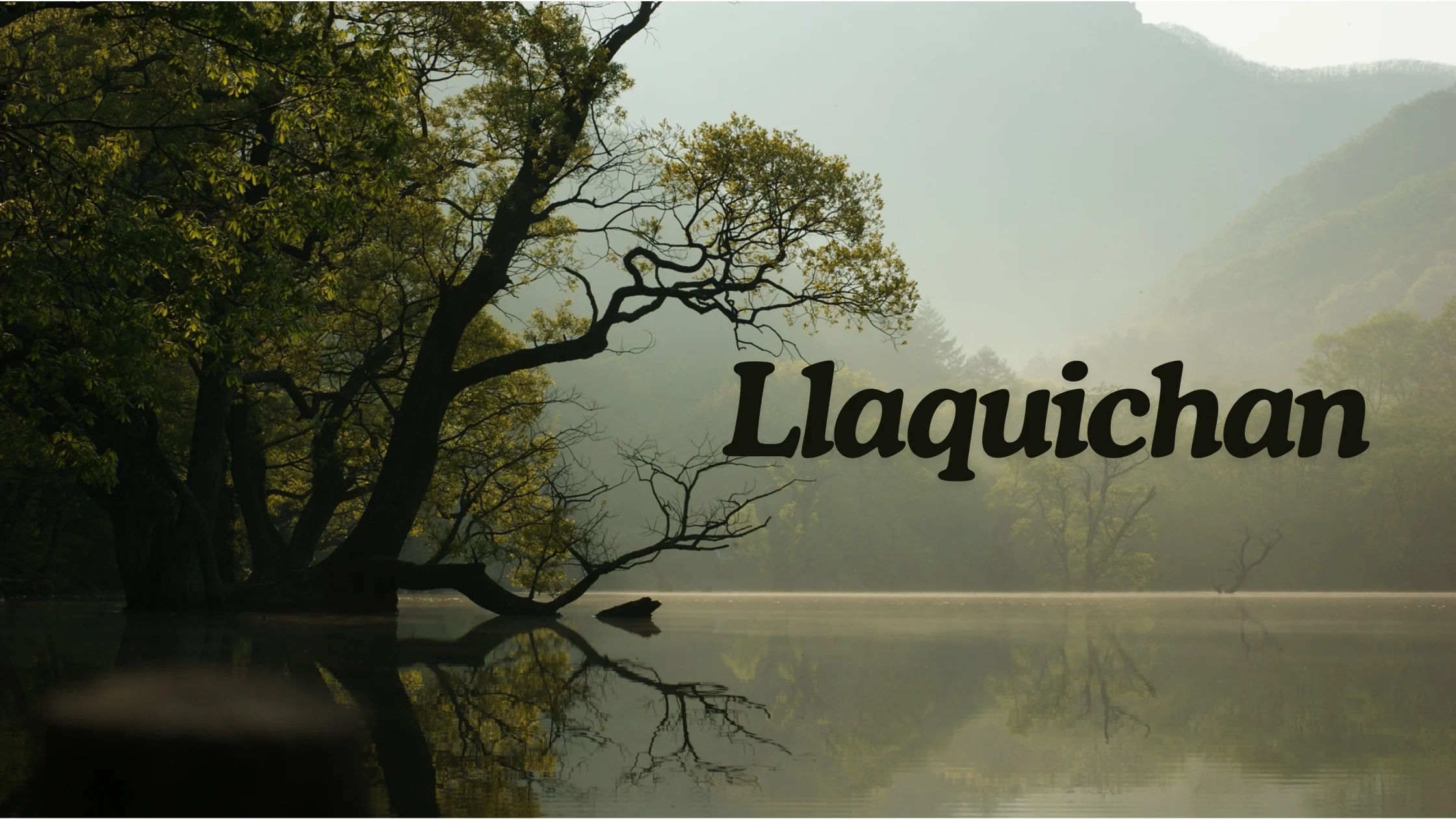 Llaquichan: A Cultural Nexus of Art and Music!