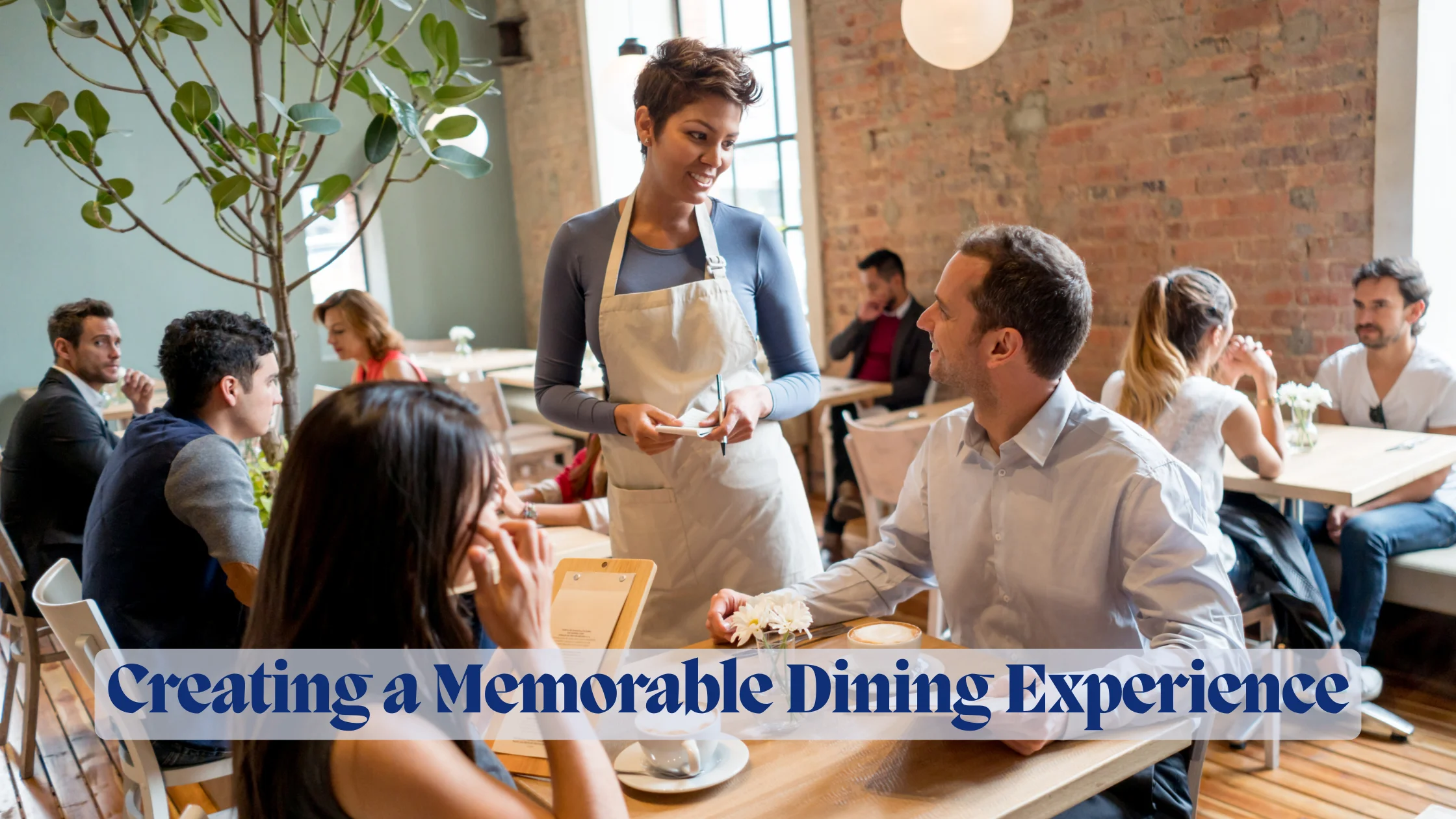 Creating a Memorable Dining Experience: Resources for Restaurant and Bar Creation