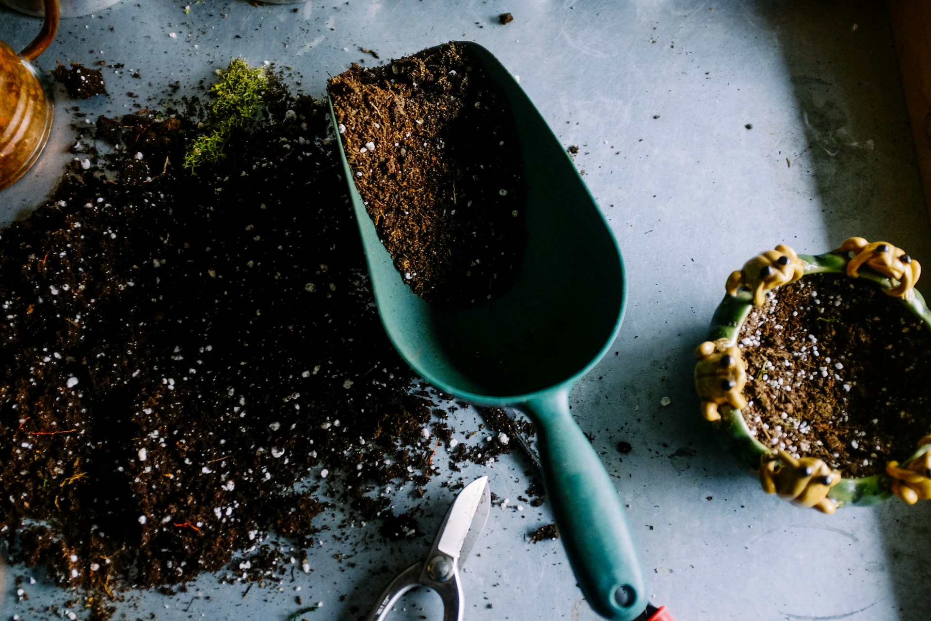 Essential Tips for Growing Healthy Plants in Metal Raised Beds