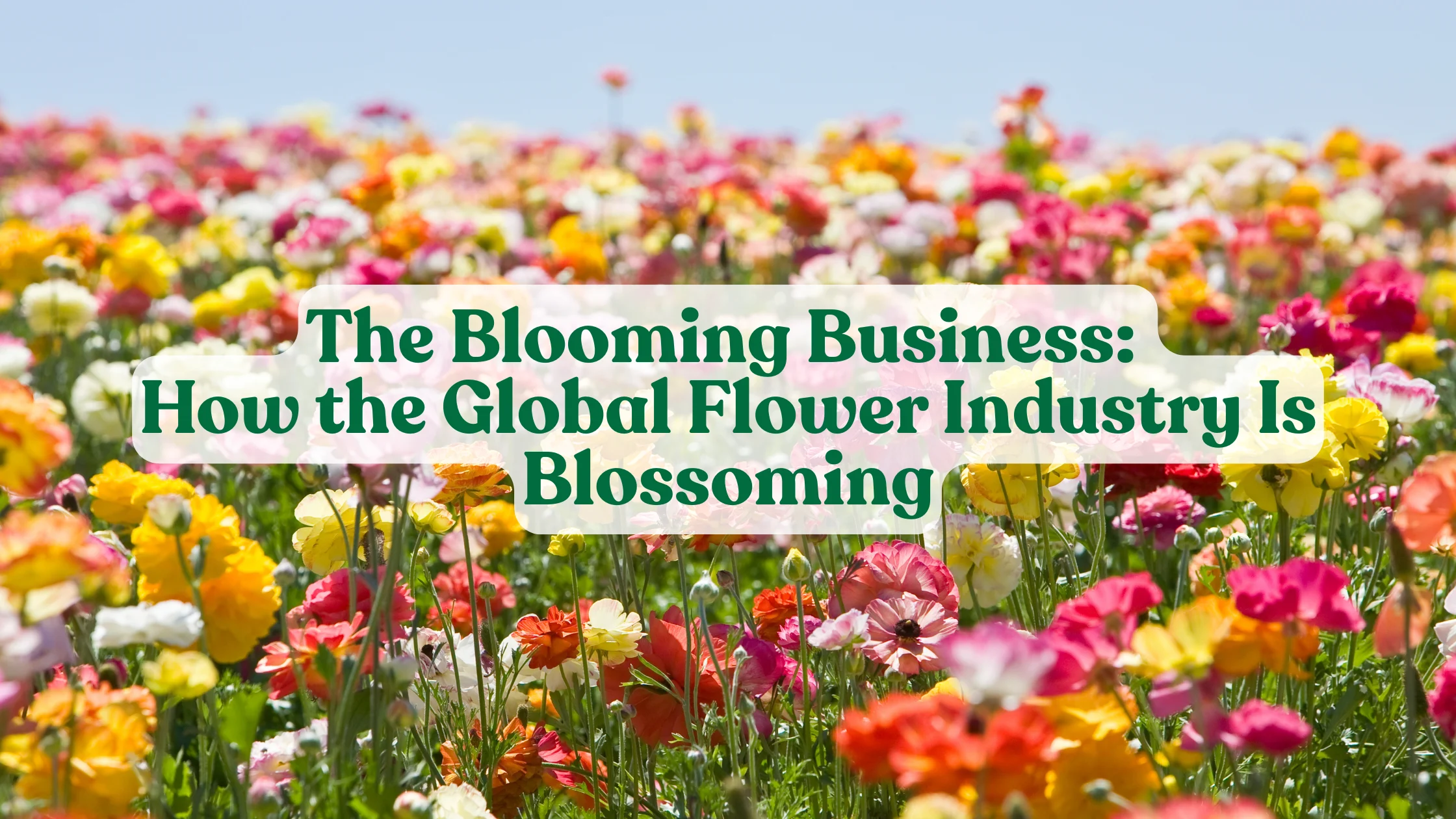 The Blooming Business: How the Global Flower Industry Is Blossoming